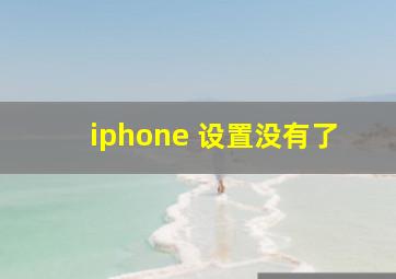 iphone 设置没有了